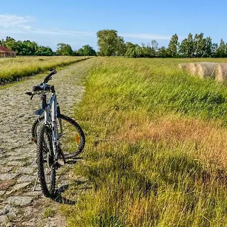 2 Bedroom Cozy In Dom wakacyjny Lokciowe