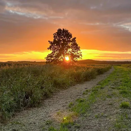 Dom wakacyjny 2 Bedroom Cozy In