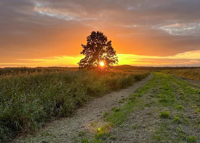 Tatil Evi 2 Bedroom Cozy In